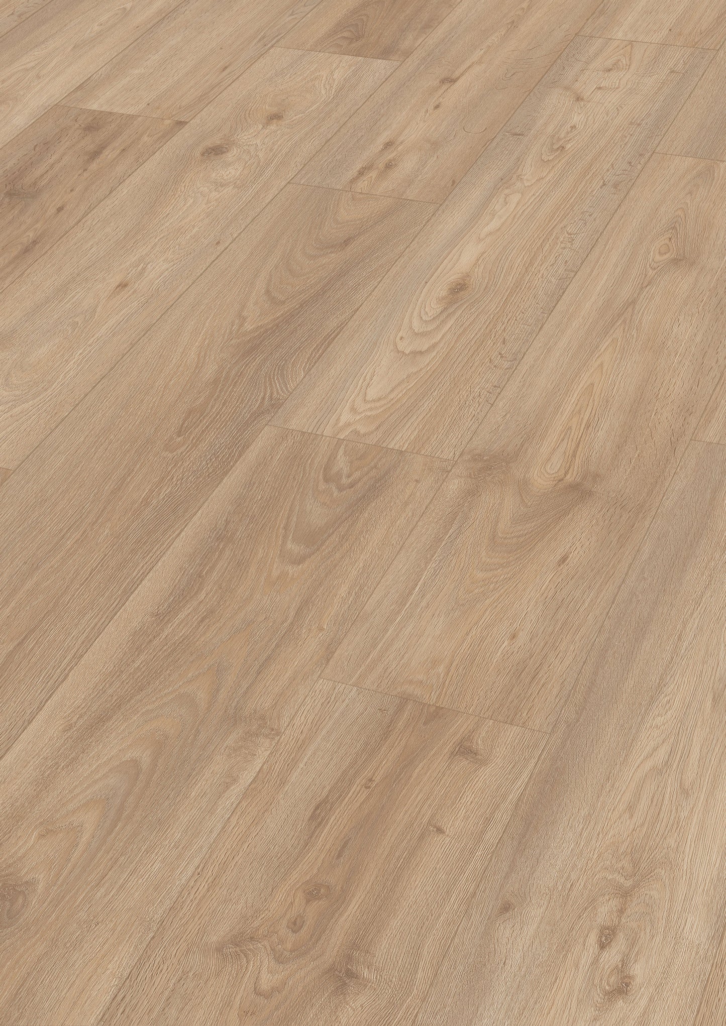MEISTER | LD 200 | MeisterDesign. laminate | Laminatboden | Kingdom Oak | 06899 | Woodfinish-Matt-Struktur