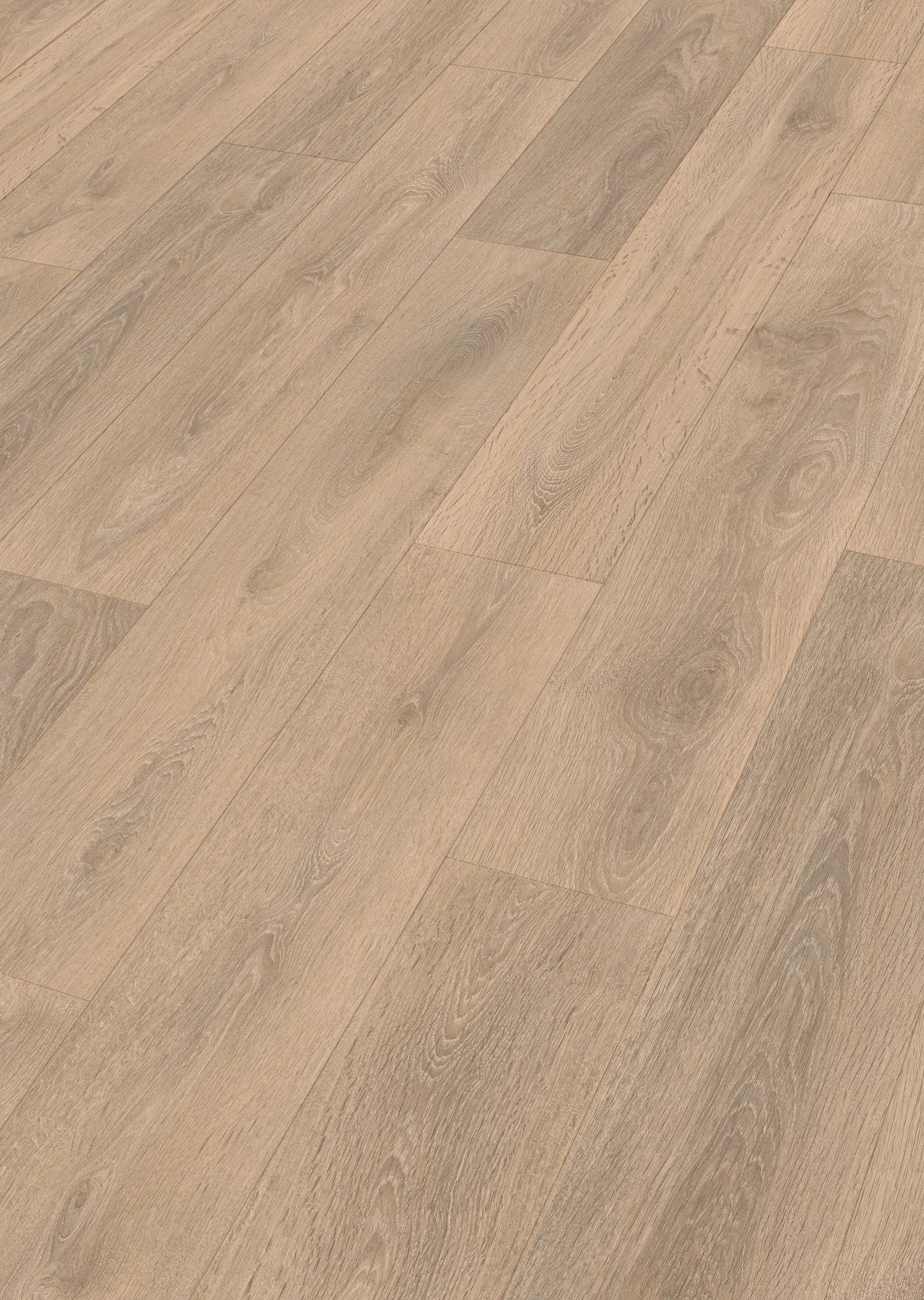 MEISTER | LD 250 | MeisterDesign. laminate | Laminatboden | Eiche sand | 07004 | Porensynchron-Struktur