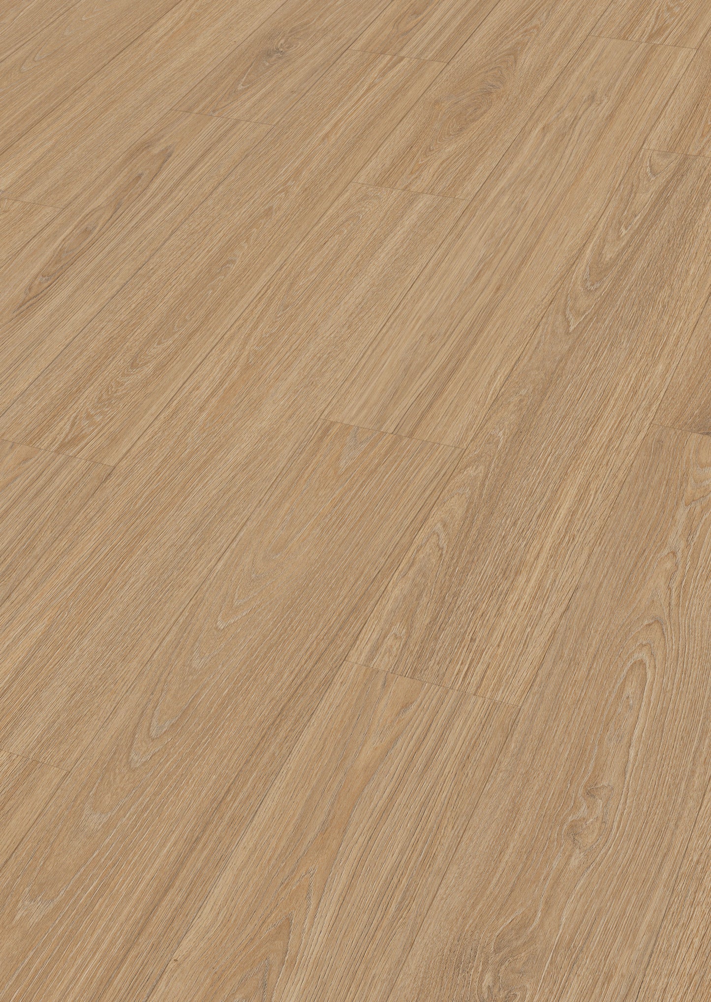 MEISTER | LD 250 | MeisterDesign. laminate | Laminatboden | Princess Oak creme | 06896 | Porensynchron-Struktur