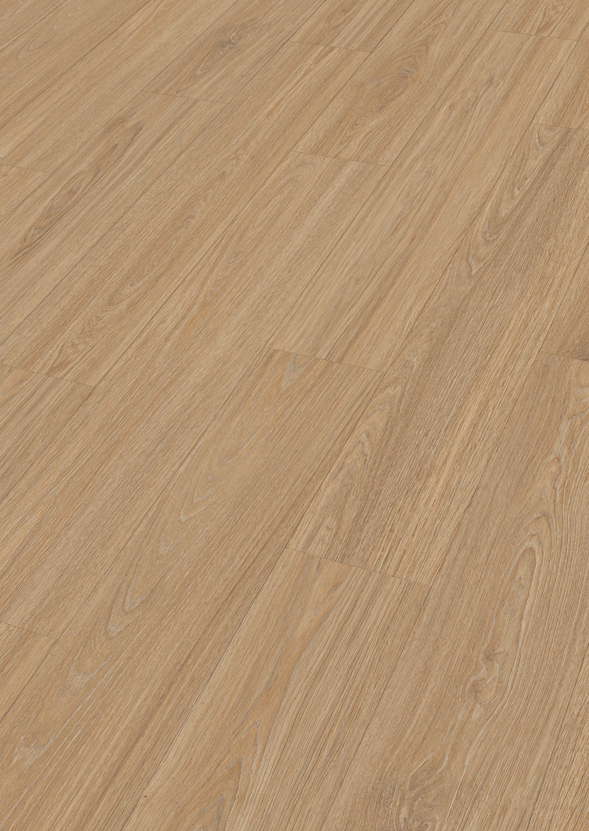 MEISTER | LD 250 | MeisterDesign. laminate | Laminatboden | Princess Oak creme | 06896 | Porensynchron-Struktur