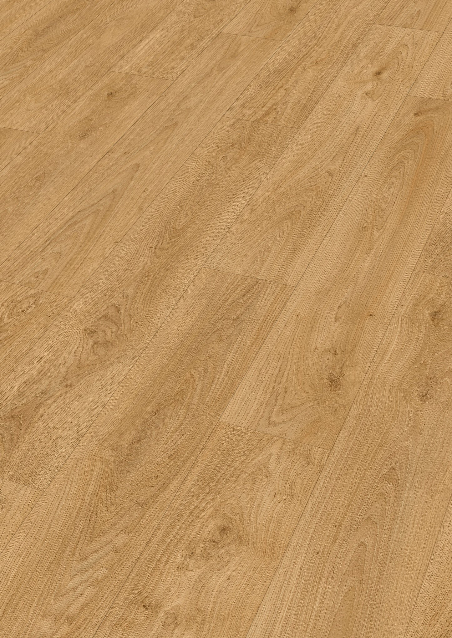 MEISTER | LD 250 | MeisterDesign. laminate | Laminatboden | Ufereiche honig | 07127 | Porensynchron-Struktur