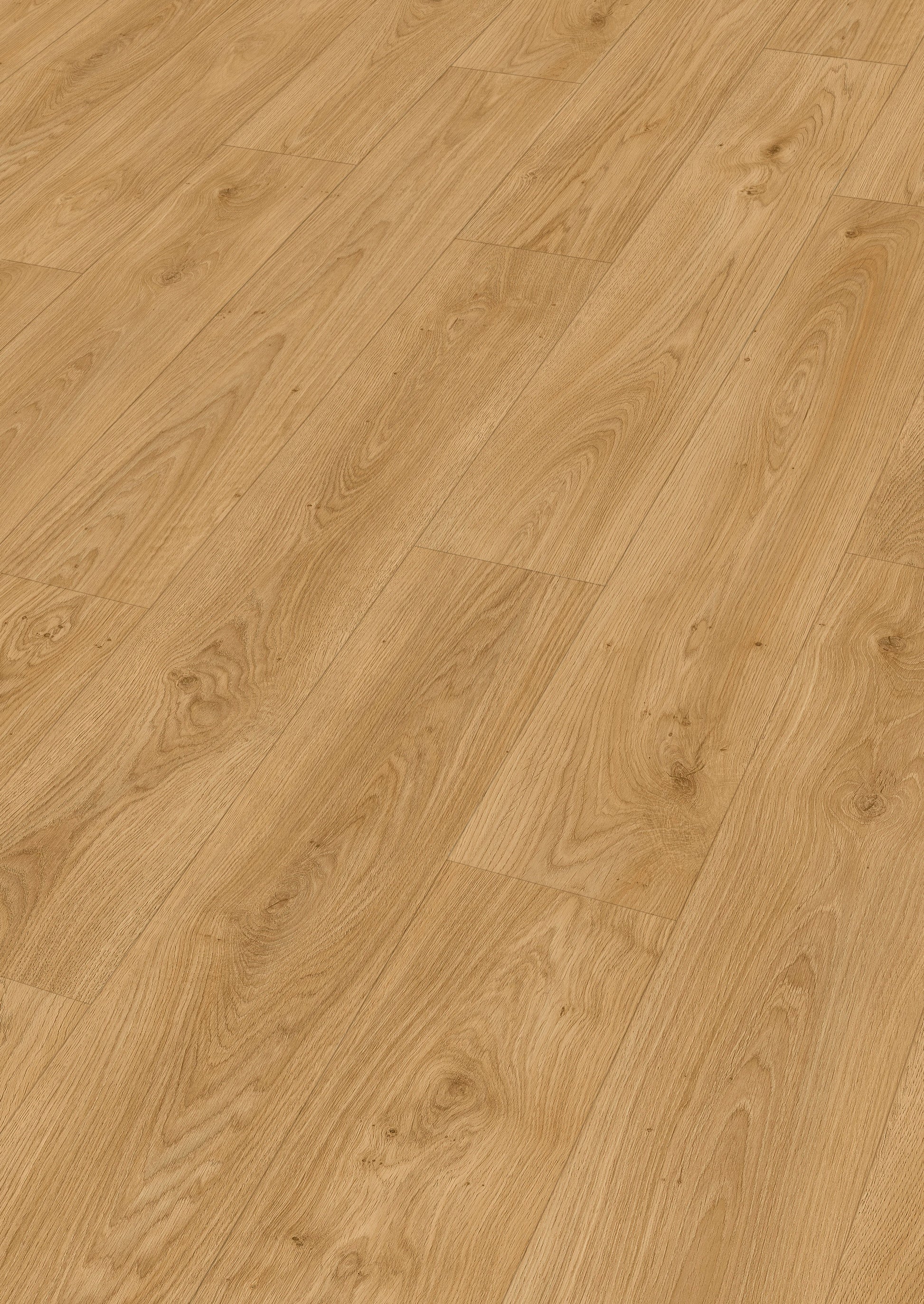 MEISTER | LD 250 | MeisterDesign. laminate | Laminatboden | Ufereiche honig | 07127 | Porensynchron-Struktur