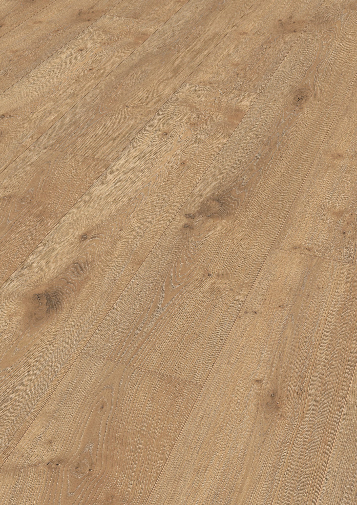 MEISTER | LL 250 | MeisterDesign. laminate | Laminatboden | Eiche Dakar | 06385 | Porensynchron-Struktur