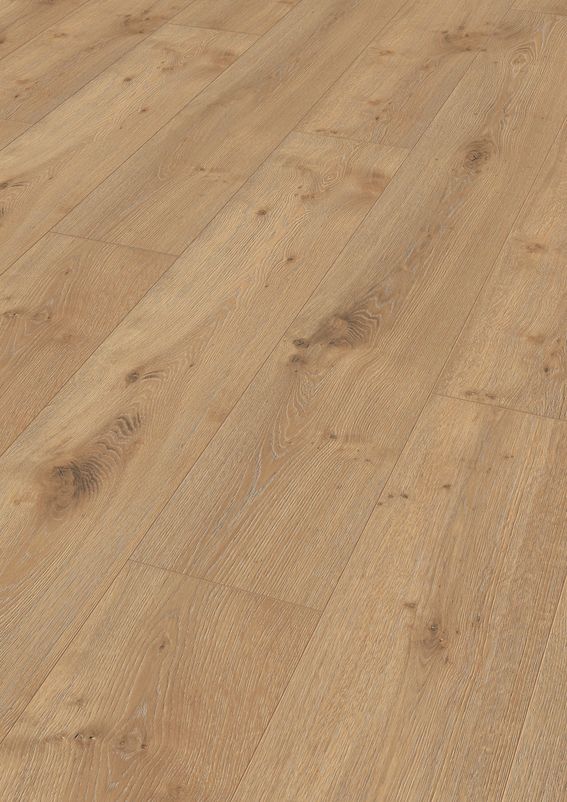 MEISTER | LL 250 | MeisterDesign. laminate | Laminatboden | Eiche Dakar | 06385 | Porensynchron-Struktur