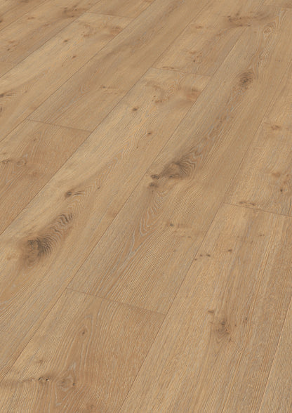 MEISTER | LL 250 | MeisterDesign. laminate | Laminatboden | Eiche Dakar | 06385 | Porensynchron-Struktur
