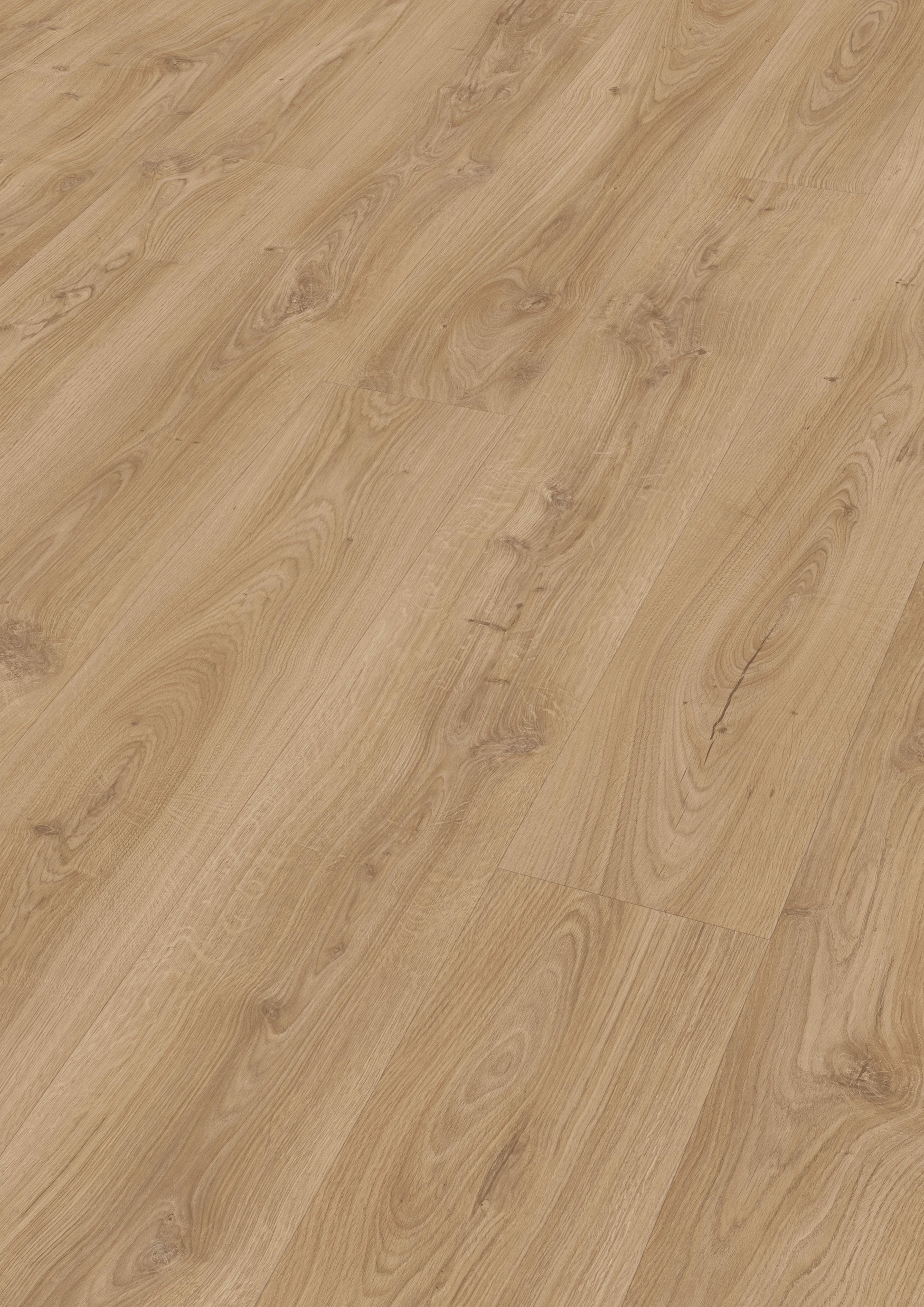 MEISTER | LL 250 | MeisterDesign. laminate | Laminatboden | Schlosseiche hell | 06841 | Porensynchron-Struktur