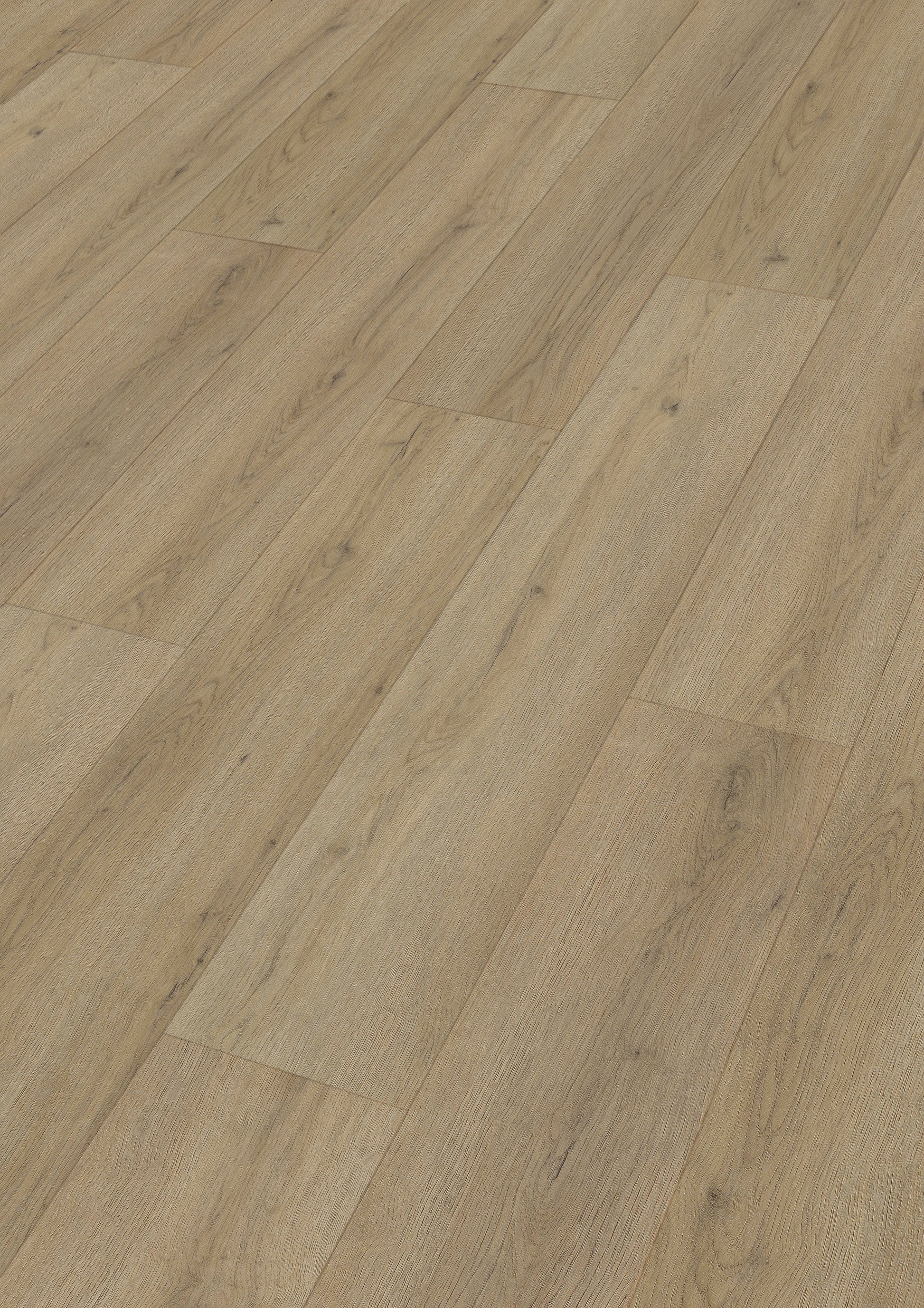 MEISTER | RD 300 S | MeisterDesign. rigid | Designboden | Eiche Lakeshore | 07387 | Softwood-Struktur